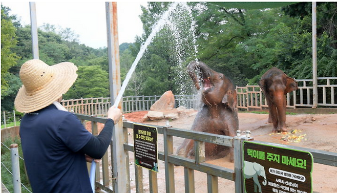 뉴시스 자료사진