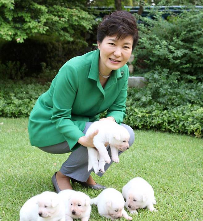 박근혜 전 대통령이 키우던 진돗개들.