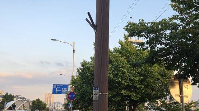 ▲ 제80주년 광복절인 지난 15일 충북 청주시 청원구 무심동로의 가로등 국기봉에 태극기가 게양되지 않았다. /남연우 기자