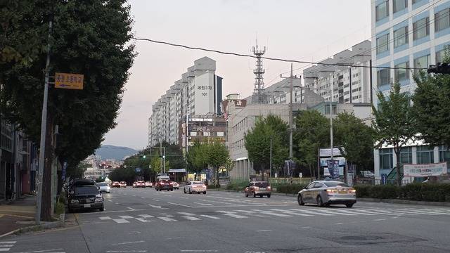 ▲ 제80주년 광복절인 지난 15일 충북 청주시 흥덕구 가경동 한 도로에 게시된 태극기를 찾아볼 수 없다. /남연우 기자