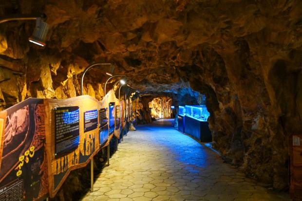 일제강점기 군용 동굴을 테마파크로 탈바꿈시킨 울산시 남구 신정동의 ‘태화강 동굴피아\'.