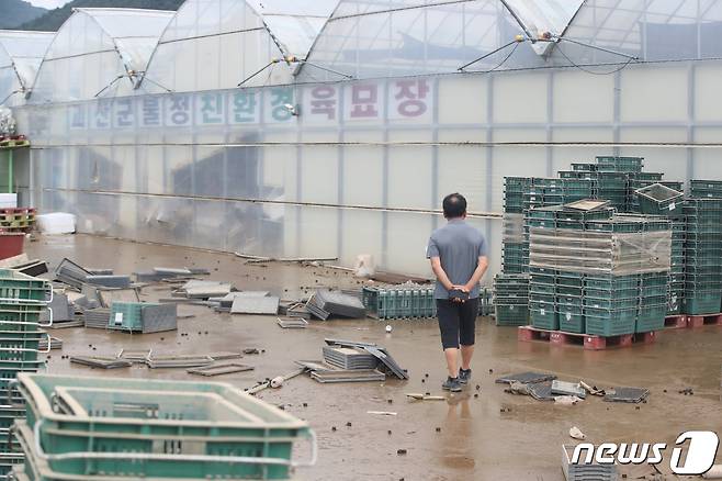 16일 오후 충북 괴산 불정면에 위치한 폭우 피해 농가에서 농민이 피해를 입은 시설물을 바라보고 있다. 2023.7.16/뉴스1 ⓒ News1 황기선 기자