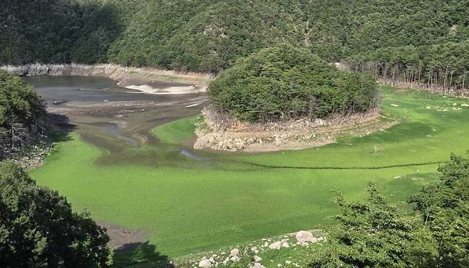 강릉 생활·공업용수의 86.6%를 담당하는 오봉저수지 상류가 바짝 말라 있는 모습. 연합뉴스