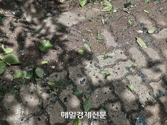 17일 오전 서울 마포구 창전동의 한 아파트에서 화재가 발생했다. ‘펑’ 터지는 소리가 들렸다는 현장 지상에는 깨진 창문 유리 조각들이 즐비했다. [지혜진 기자]