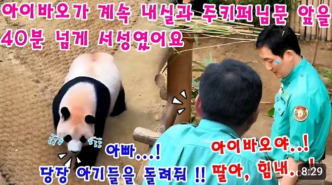 8월 17일 아이바오 영상 타이틀