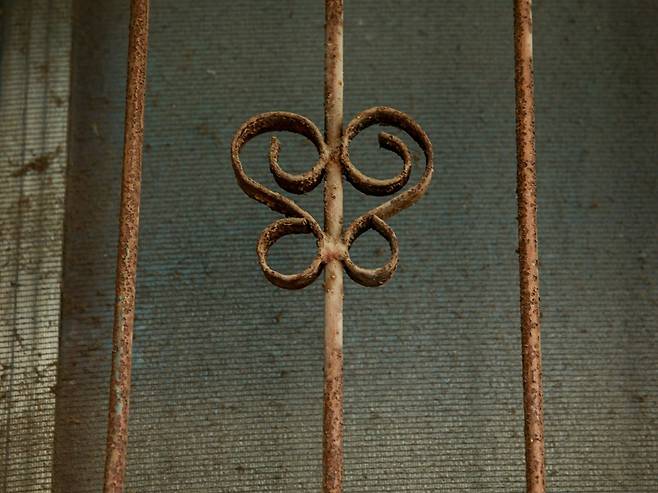 파란 하늘에 나비를 날리는 상상을 해본다. [사진 | 오상민 작가]