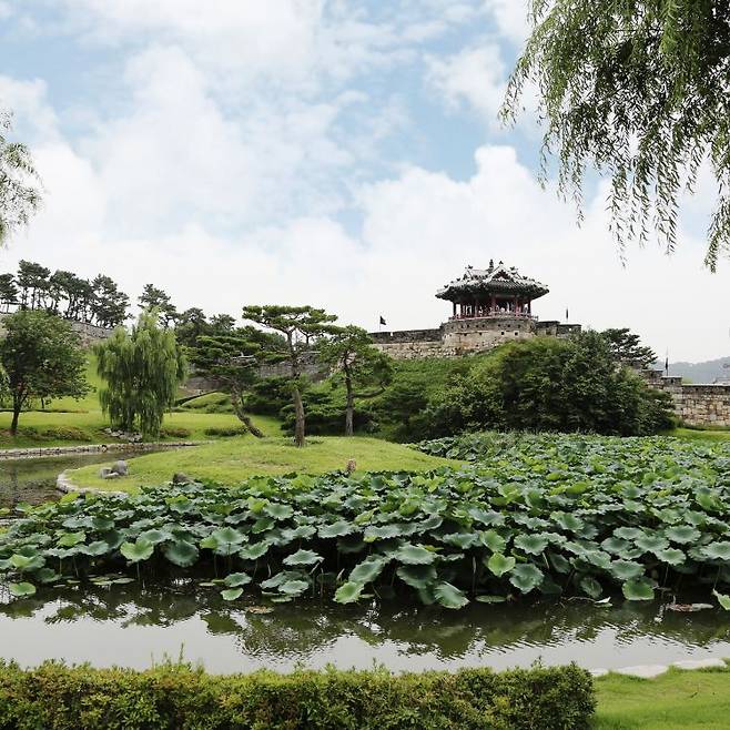 수원 화성 방화수류정내 용연 모습<수원시 제공>
