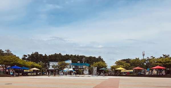 서천군,춘장대해수욕장에 폭염예방 그늘막 설치