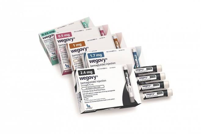 노보 노디스크의 비만치료제 위고비(성분명 세마글루타이드.&nbsp;Novo Nordisk 제공