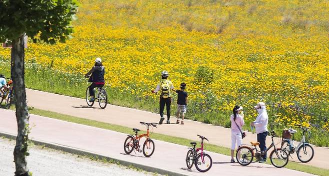 '산들강바다 물길따라' 벽골제부터 심포항까지 시민들이 자전거 여행을 즐기고 있다. 뉴시스 제공