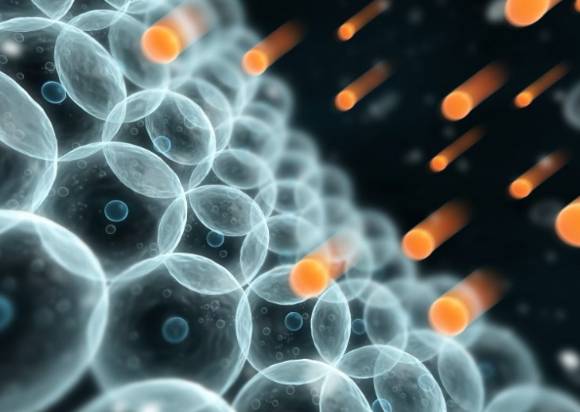 자두는 다양한 건강 이점을 가지고 있다. 사진은 본 기사 내용과 무관. [사진=allaboutfeed @Sebastian Kaulitzki]