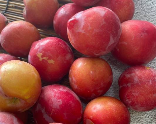 자두는 변비에도 효과가 좋다. 사진은 자두. [사진=오아시스마켓]