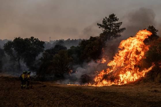 Firefighters with Granada's Special Reinforcement Brigade for Wildfires in Andalusia watch the progress of a controlled burn in the village of San Martino de Alvaredos, Lugo area, Galicia region, Spain, on Aug. 17. [REUTERS/YONHAP]