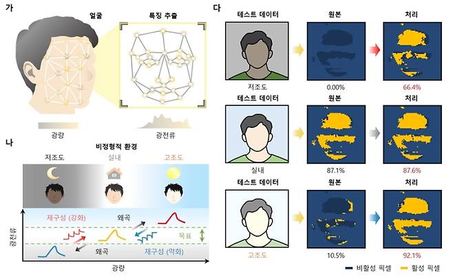 빛 감지-기록-처리 일체형 광소자를 활용한 얼굴인식 예시. (가)얼굴에 빛이 조사되는 상황과 특징 추출 과정을 개략적으로 나타냄. (나)비정형적 조명 조건에서는 광에 의한 신호 왜곡이 발생할 수 있음. 제안된 연구는 소자 내에서 강화 신호 또는 약화 신호를 인가하여, 왜곡된 광 입력을 사전 학습된 기준 범위로 재구성 가능함. (다)다양한 조도 조건(저조도, 실내, 고조도)에서 입력된 얼굴 이미지에 대해, 센서 내 연산 전후의 픽셀 활성화 분포를 분석함. 센서 내 연산 이후 활성화 픽셀(노랑)의 비율이 증가하였고, 따라서 주변 조명 환경에 관계없이 안정적인 얼굴 인식 성능을 구현할 수 있음을 입증함. 한국연구재단
