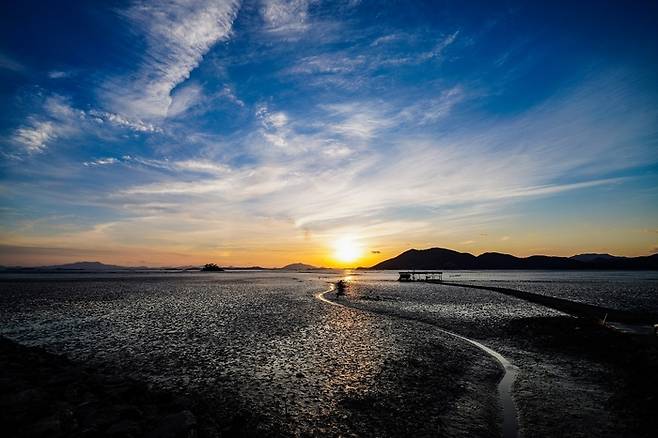 순천만습지. 순천시 제공.