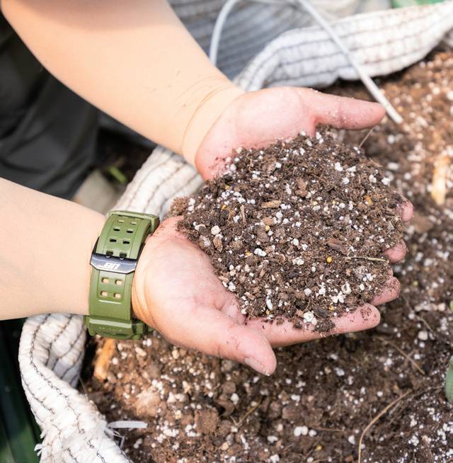 양호한 토질을 유지하기 위해 코코비트와 펄라이트·마사토·질석 등을 섞어 배합토를 만들었다.