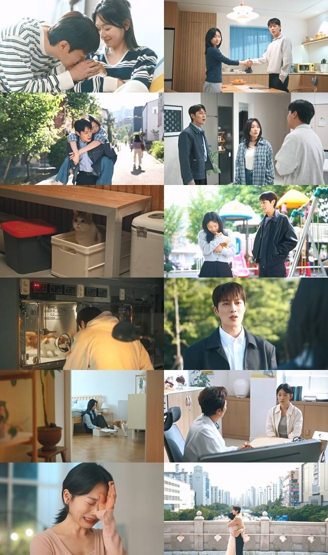 ‘냥육권 전쟁’. 사진ltvN