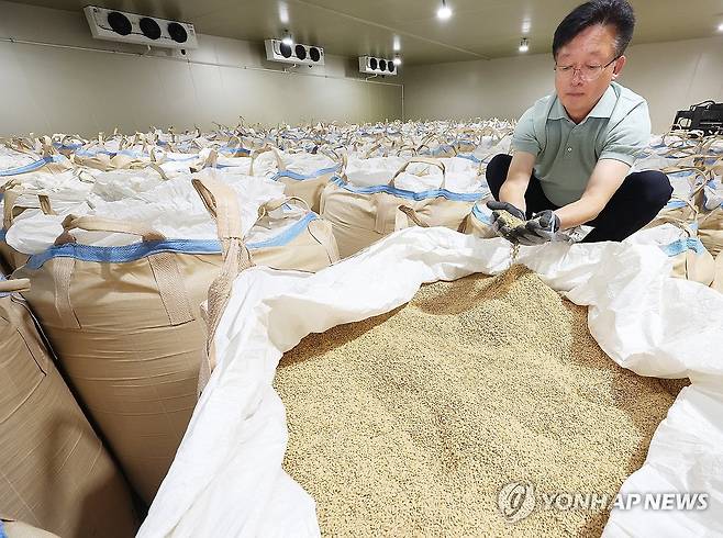 쌀 살펴보는 관계자 [연합뉴스 자료사진]