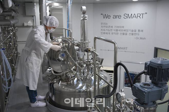 Kim Soo-yoon, head of the Plant Cell Culture Team, is mass-culturing plant cells. (Courtesy of Bio FD&C)