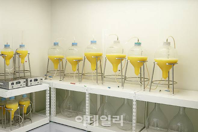 바이오리액터에서 식물세포를 배양 중이다. (제공=바이오에프디엔씨)