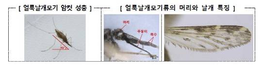 질병관리청 제공.