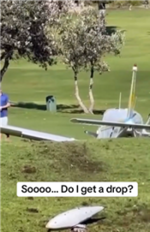 현장에 있던 목격자가 추락한 경비행기를 촬영해 틱톡에 올린 현장 영상. [사진출처=틱톡@espn_australia_nz]