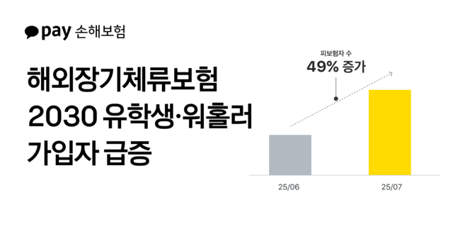 [카카오페이손해보험 제공]