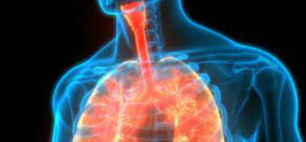 폐가 깨끗해지면 다른 기관에도 긍정적인 영향을 미친다. 사진은 본 기사 내용과 무관. [사진=Johns Hopkins Medicine]