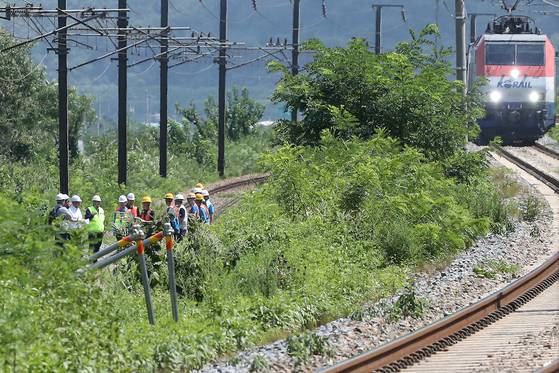 19일 오전 10시 52분쯤 경북 청도군 화양읍 삼신리 청도소싸움 경기장 인근 경부선 철로에서 마산으로 향하던 무궁화 열차가 선로에서 작업하던 근로자 7명을 치는 사고가 발생했다.  경찰과 소방, 코레일 등 관계자들이 사고 현장을 조사하는 가운데 우측으로 열차가 서행하고 있다. 뉴스1