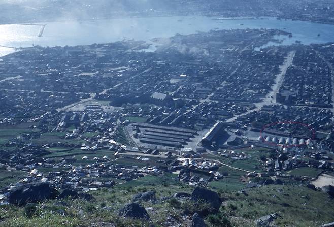 1952년 부산 봉래산에서 내려다 본 영도 전경. 붉은색원 부분이 ‘영도 근로보국대’ 자리다./김한근 부경근대사료연구소 소장 제공