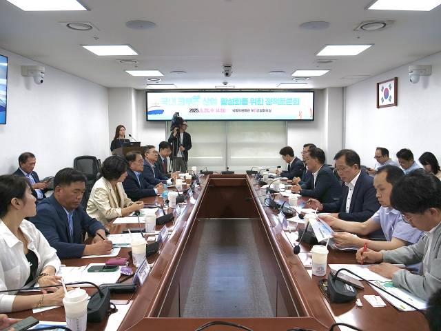 20일 국회에서 국내 크루즈산업의 활성화 정책 토론회가 열리고 있다./최형두 의원실/