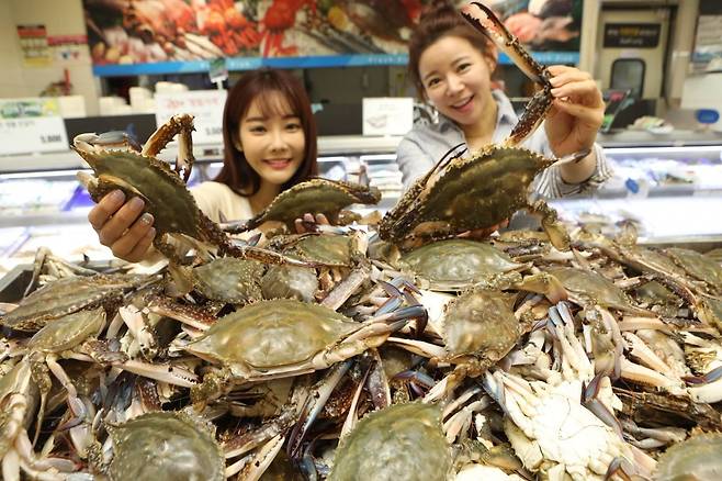 지난해 롯데마트 제타플렉스 서울역점 수산 코너에서 '서해안 햇꽃게'를 홍보하는 모델 / 사진=롯데마트 제공
