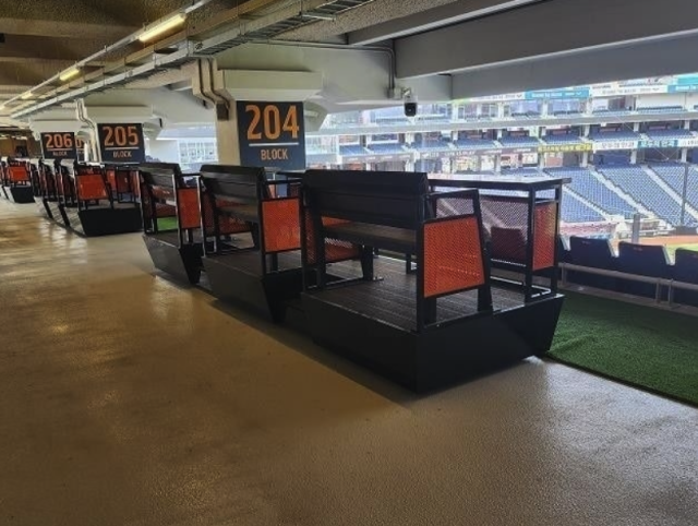 잔디를 치우기 전 특별석 모습. 대전시 제공