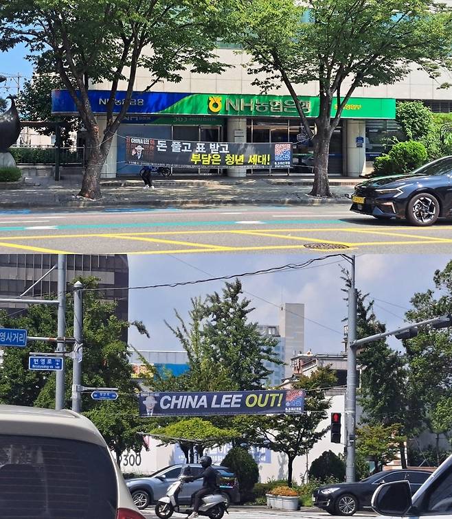 울산에 설치된 6.3 대선 부정선거 음모론 주장 정당 현수막들.
