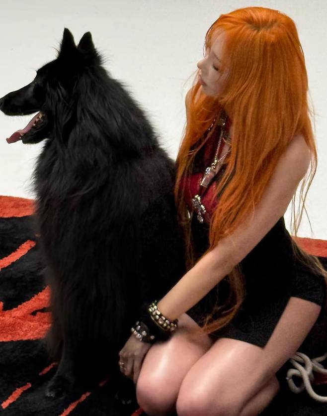 인스타그램 @aerichandesu