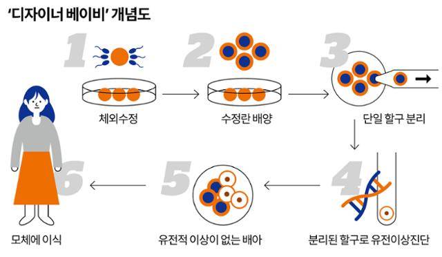 그래픽=강준구