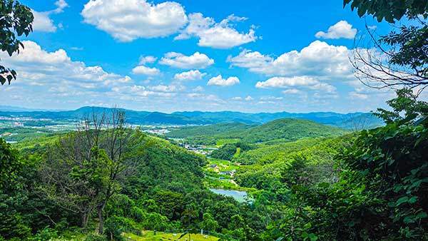삼성산 기슭에서 바라본 벌판과 멀리 운문산 자락.