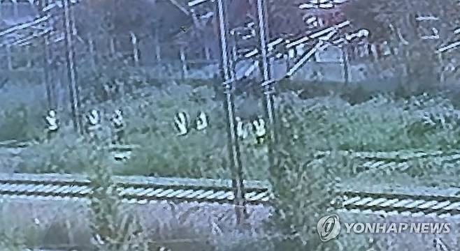청도 열차사고 직전 작업자 이동 모습 담긴 CCTV (청도=연합뉴스) 지난 19일 오전 10시 45분께 경북 청도군 화양읍 삼신리 청도소싸움 경기장 인근 경부선 철로에서 작업자들이 이동하는 모습.
    해당 장면이 촬영된 직후 무궁화호 열차가 선로 인근에서 작업 중이던 근로자 7명을 치어 2명이 사망하고 5명이 다치는 사고가 났다. 2025.8.20 [독자 제공.재판매 및 DB금지] psik@yna.co.kr