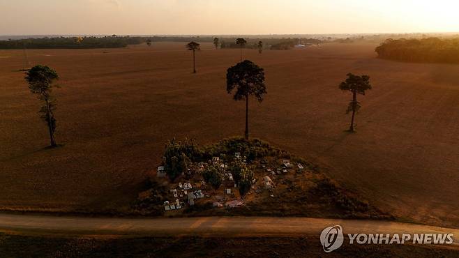드론으로 촬영된 아마존 개간 대두 경작지 로이터=연합뉴스. 재판매 및 DB 금지.