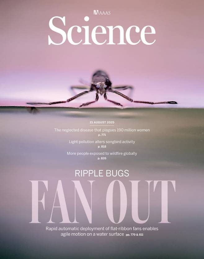 ▲ 사이언스 표지