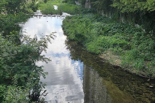 삼성천 전경. 사진=안양시