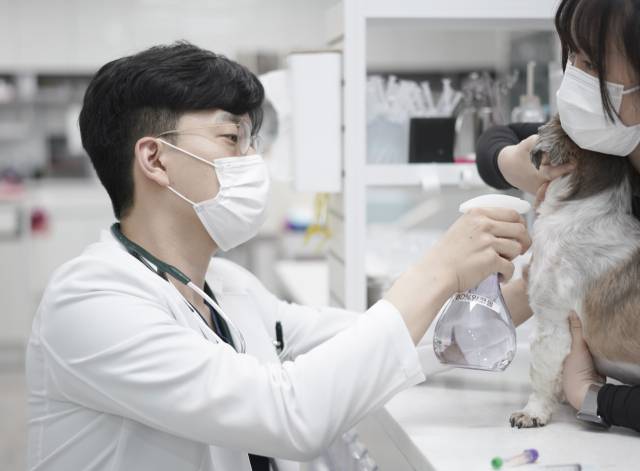 이세원 대구바른동물의료센터 원장이 강아지를 진료하고 있다. 바른동물의료센터 제공