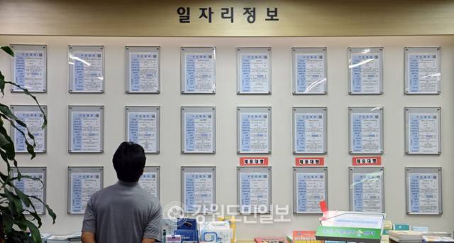 ▲ 5일 춘천고용복지플러스센터에서 한 시민이 일자리정보 게시판을 보며 구직을 하고 있다. 방도겸 기자