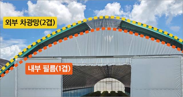 4년근 인삼이 고온피해 없이 자라고 있는 전북 김제 백산인삼영농조합법인(대표 김태엽)의 이중구조하우스. 지붕은 두겹으로 돼 있는데, 그 간격이 30㎝다. 이는 외부 열 전달을 막고 뜨거운 공기를 잘 빠지게 해준다.