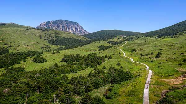 윗세오름에서 어리목으로 이어진 데크길. 윗세오름 코스는 한라산에서 가장 쉬운 코스이지만, 여름에는 찾는 사람이 많지 않다. 정상으로 이어지지 않는 코스인 탓도 있다.