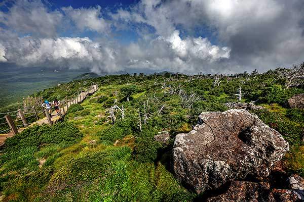 병풍바위를 지나 노루샘으로 이어진 계단길. 영실은 해발 1,250m까지 도로가 나있어 3.7km만 걸으면 윗세오름대피소에 닿는다.&nbsp;