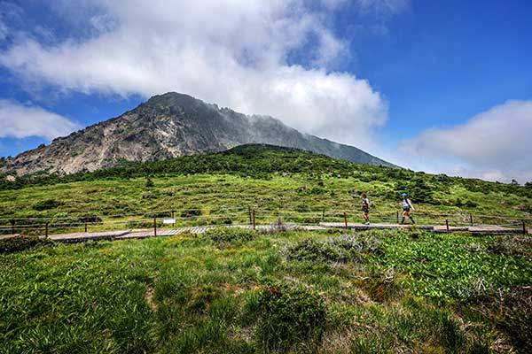 방아오름 부근에서 본 한라산 남벽. 대부분의 등산객이 한라산 정상 백록담 위주로 산행을 하지만, 자연미는 남벽이 훨씬 더 예술적이다. 여름 윗세오름은 찾는 이가 평소보다 적어 여유를 즐길 수 있다.