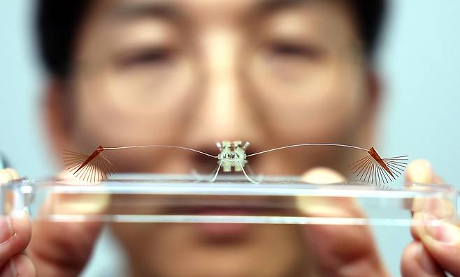 라고벨리아를 모방한 초소형 로봇 '라고봇'(Rhagobot) (서울=연합뉴스) 아주대 고제성 교수가 소금쟁이과 곤충 라고벨리아(Rhagovelia)를 모방해 만든 초소형 수상 로봇 '라고봇'(Rhagobot)을 들어 보이고 있다. [재판매 및 DB 금지]