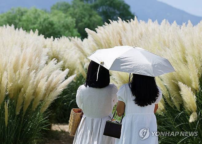 뜨거운 처서 2024년 처서였던 8월22일, 부산 강서구 대저생태공원의 모습. 무더운 날씨 속에 시민들이 우산이나 양산을 쓰고 햇빛을 피하고 있다. [연합뉴스 자료사진]