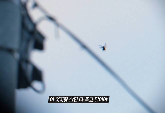 ‘그것이 알고 싶다’ (그알)